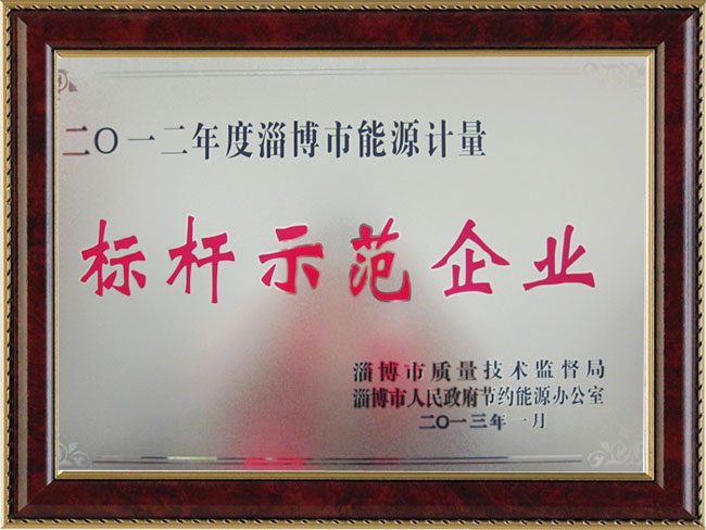2012年度淄博市能源計量標桿示范企業(yè)