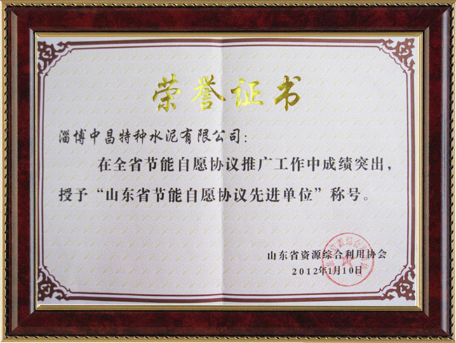 山東省節(jié)能自愿協(xié)議先進單位
